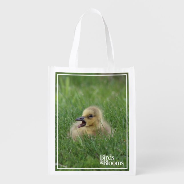 Canadian Goose Chick Grocery Bag (Front)