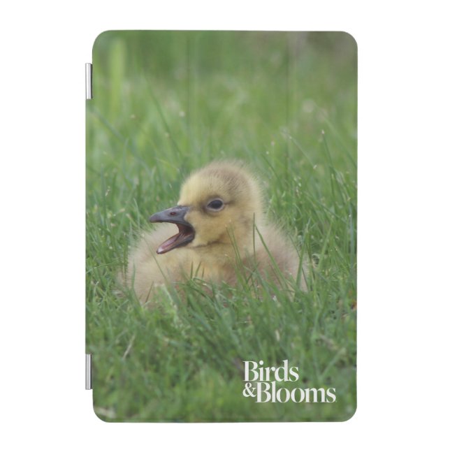 Canadian Goose Chick iPad Mini Cover (Front)