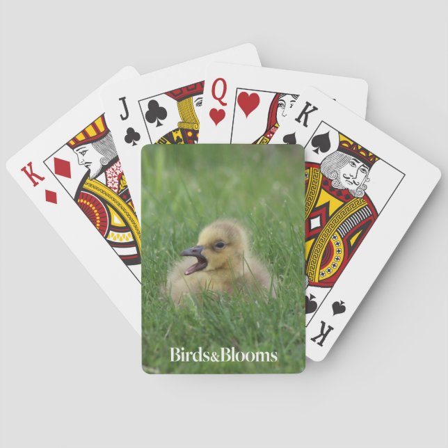 Canadian Goose Chick Poker Cards (Back)