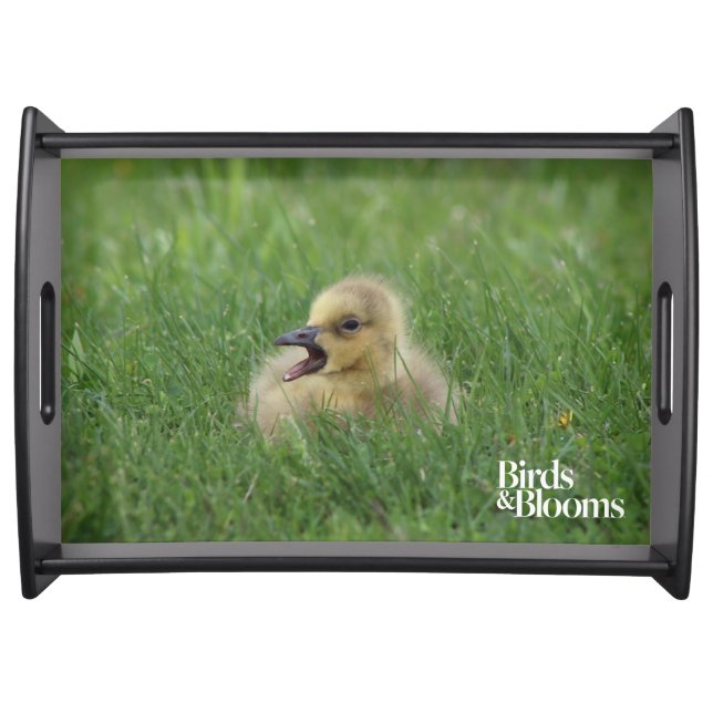 Canadian Goose Chick Serving Tray (Front)