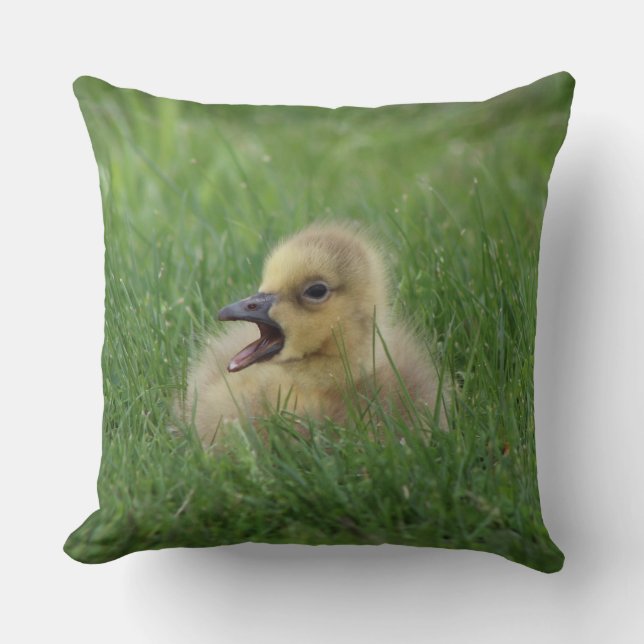 Canadian Goose Chick Throw Pillow (Front)