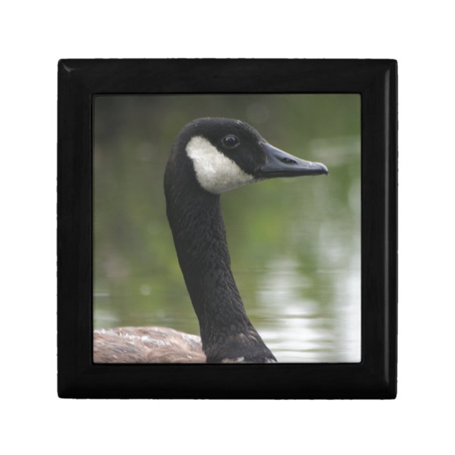 Canadian Goose Gift Box (Front)