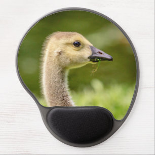 Canadian Goose (Gosling) Gel Mouse Pad