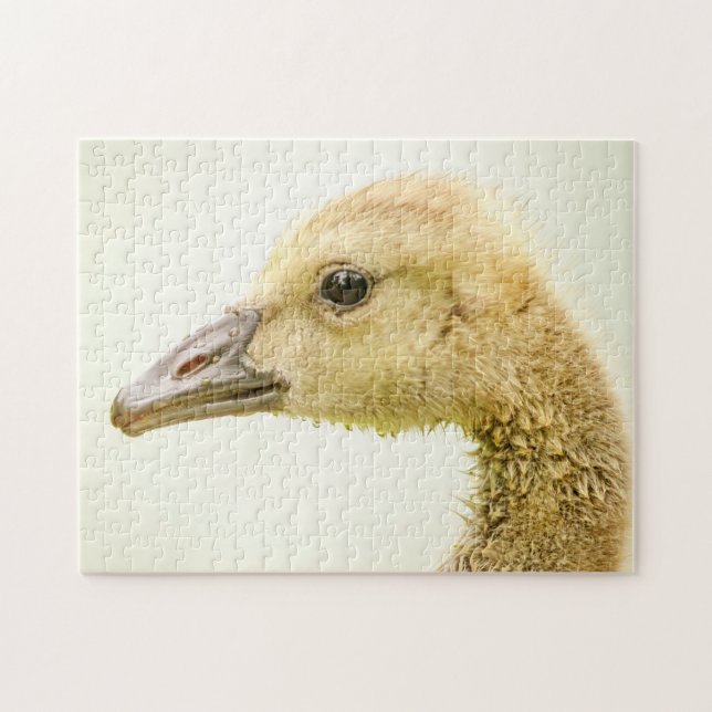 Canadian Goose (Gosling) Jigsaw Puzzle (Horizontal)