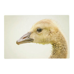 Canadian Goose (Gosling) Placemat