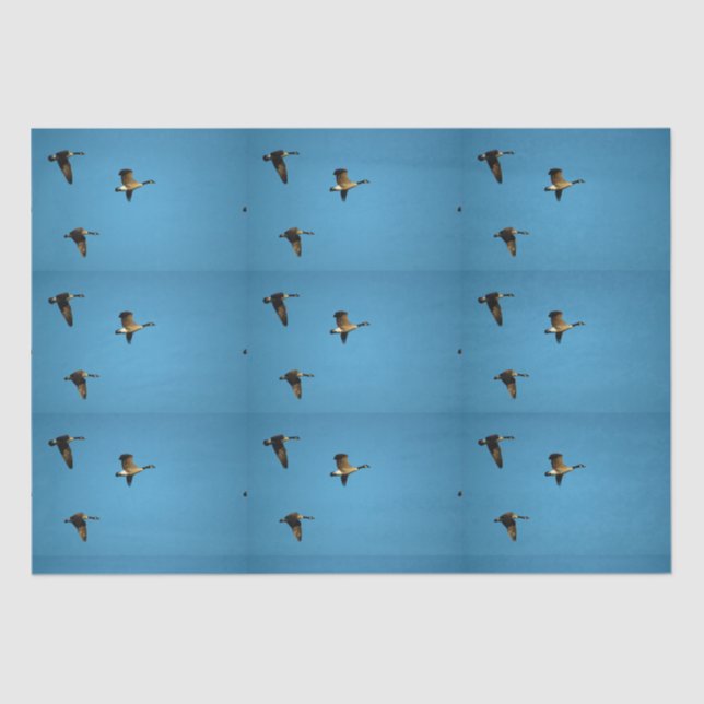 Canadian goose in flight   tissue paper (Front)