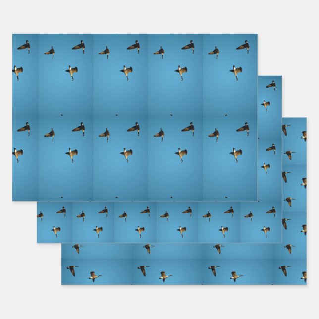 Canadian goose in flight  wrapping paper sheets (Set)