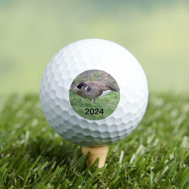 Canadian Goose In Texas  Golf Balls (Insitu Tee)