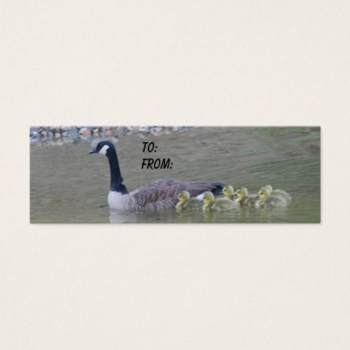 Canadian Goose Mom Babies Nature Gift Tag Business Cards