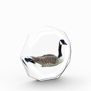 Canadian Goose Octagonal Award