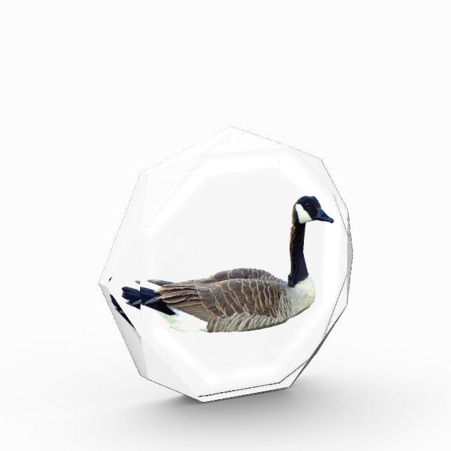 Canadian Goose Octagonal Award (Left)