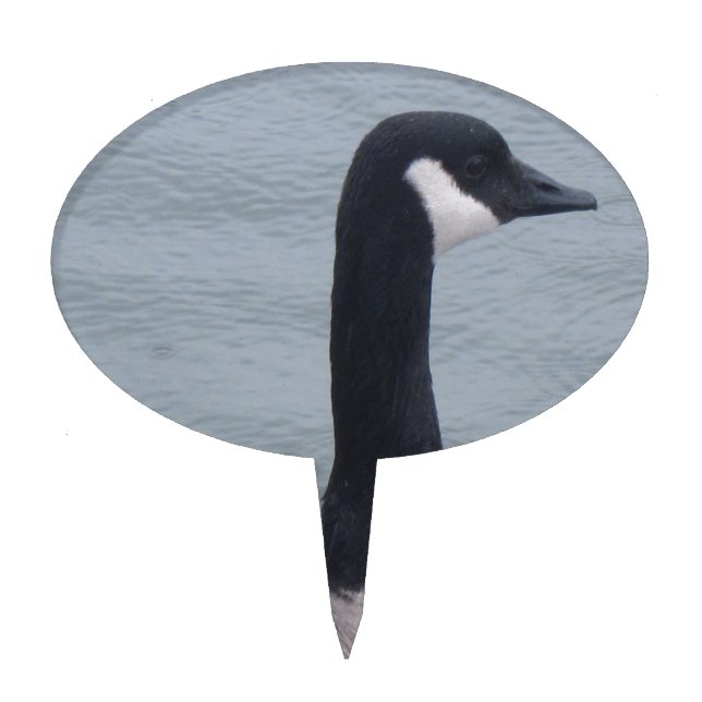 Canadian Goose on a Lake Cake Topper (Front)