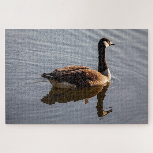 Canadian Goose on Lake Jigsaw Puzzle (Horizontal)