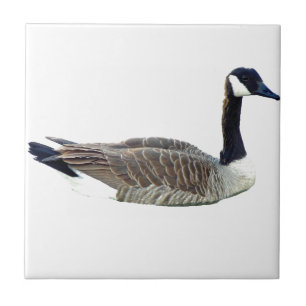 Canadian Goose Tile