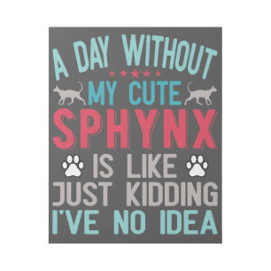 Canadian Hairless Sphynx Cat Owner Funny Saying Gallery Wrap