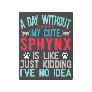 Canadian Hairless Sphynx Cat Owner Funny Saying Metal Print