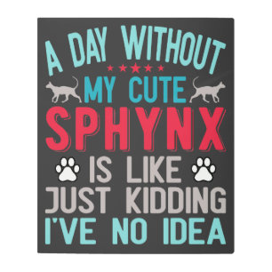 Canadian Hairless Sphynx Cat Owner Funny Saying Metal Print