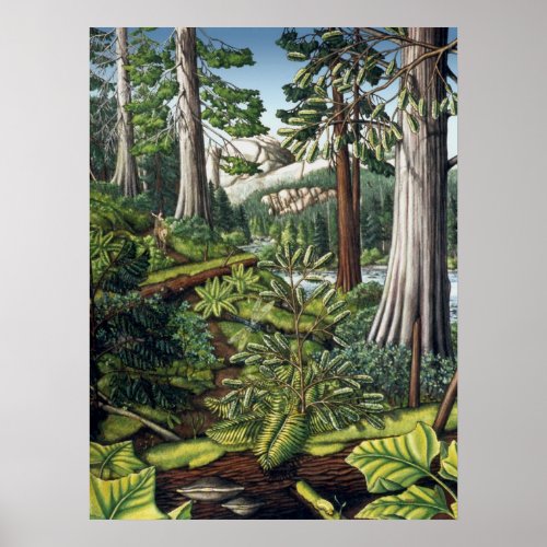 Canadian Landscape Painting Print by Kim Hunter