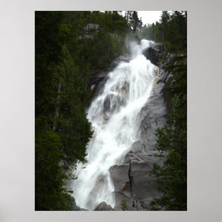 Canadian Landscape West Coast Forest Art Print