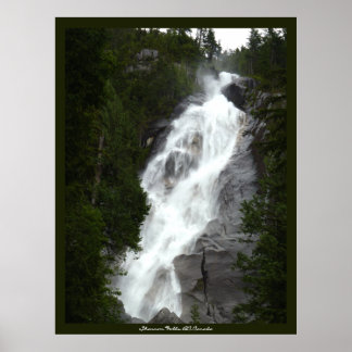 Canadian Landscape West Coast Forest Art Print