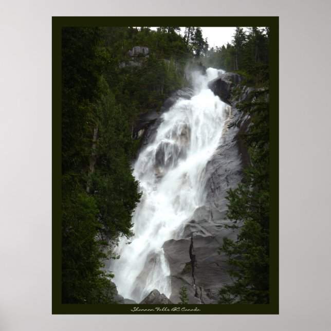 Canadian Landscape West Coast Forest Art Print (Front)