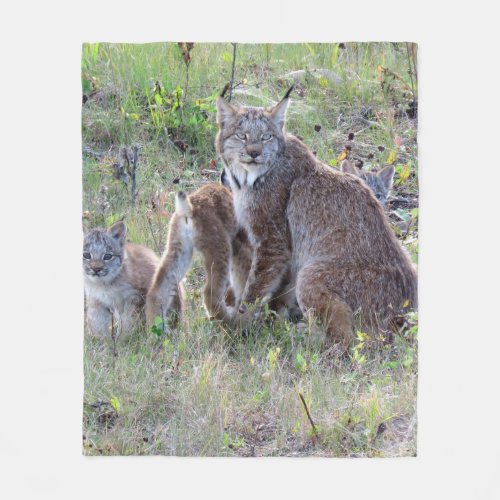 Canadian Lynx and Babies Fleece Blanket