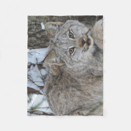 Canadian Lynx Fleece Blanket