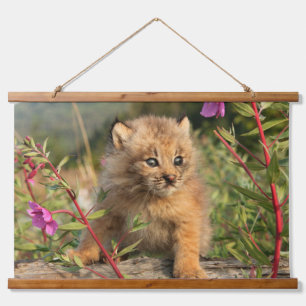 Canadian Lynx Kitten, Alaska Hanging Tapestry