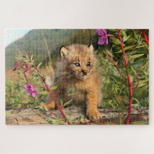 Canadian Lynx Kitten Alaska Jigsaw Puzzle