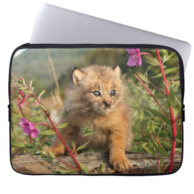Canadian Lynx Kitten, Alaska Laptop Sleeve (Front)