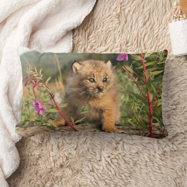 Canadian Lynx Kitten, Alaska Lumbar Pillow (Blanket)