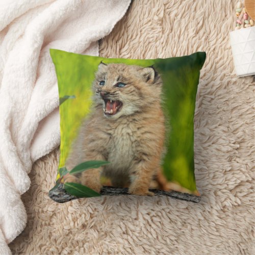 Canadian Lynx Kitten Alaska Throw Pillow