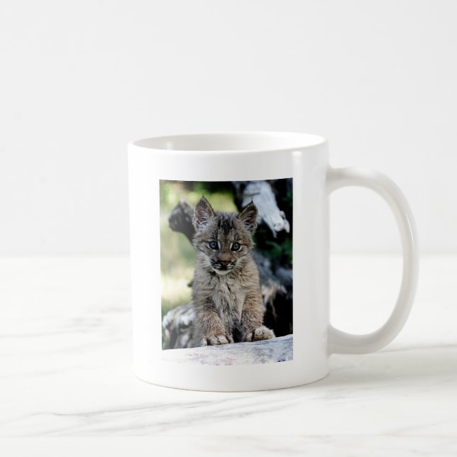 Canadian Lynx Kitten Coffee Mug (Right)