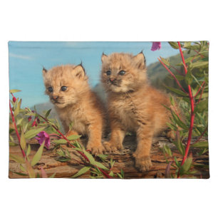Canadian Lynx Kittens, Alaska Cloth Placemat
