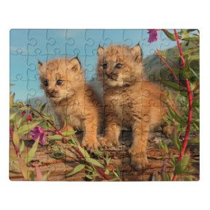 Canadian Lynx Kittens, Alaska Jigsaw Puzzle