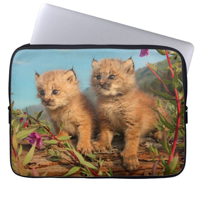 Canadian Lynx Kittens, Alaska Laptop Sleeve (Front)