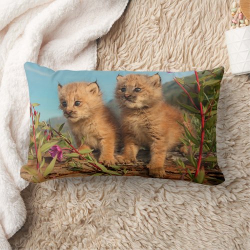 Canadian Lynx Kittens Alaska Lumbar Pillow