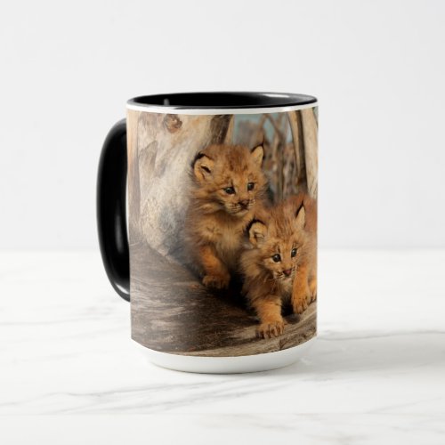 Canadian Lynx Kittens  Alaska Mug