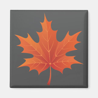 Canadian Magnet