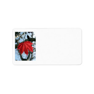 Canadian Maple Leaf Address Labels
