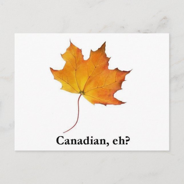 Canadian Maple Leaf Postcard (Front)