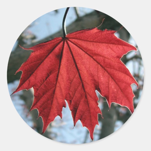 Canadian Maple Leaf Round Stickers (Front)