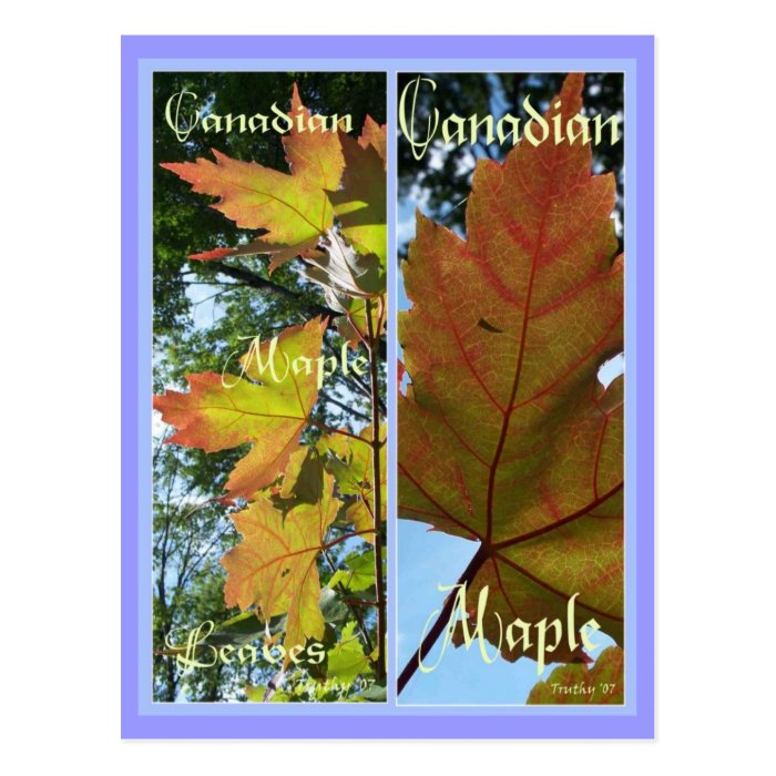 CANADIAN MAPLE LEAVES BOOKMARKS POSTCARDS