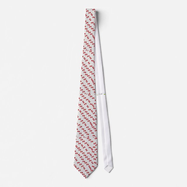 Canadian National  Tie (Front)