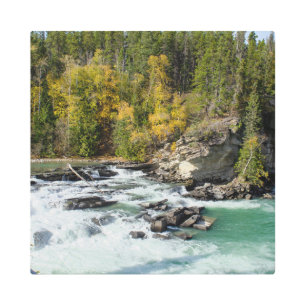 Canadian River Adventure, Fraser River Metal Print
