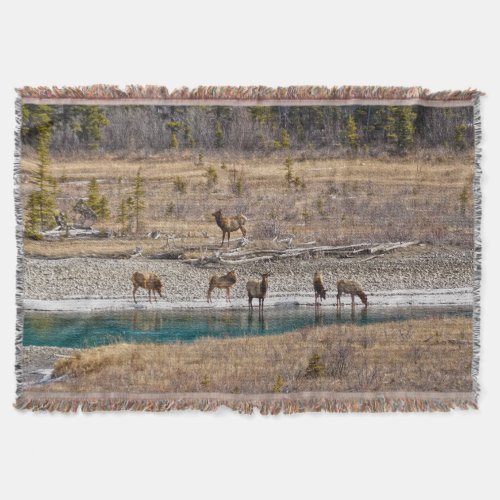 Canadian Rockies Wapiti Elk  Fleece Blanket