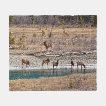 Canadian Rockies Wapiti (elk)  Fleece Blanket by RavenSpiritPrints at Zazzle