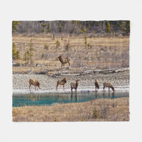 Canadian Rockies Wapiti Elk  Fleece Blanket