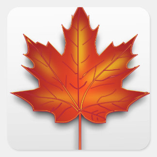 Canadian Sheet Square Sticker
