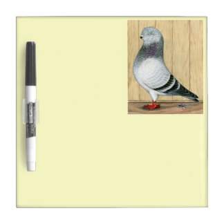 Canadian Show Tippler Pigeon Blue Grizzle Dry-Erase Board